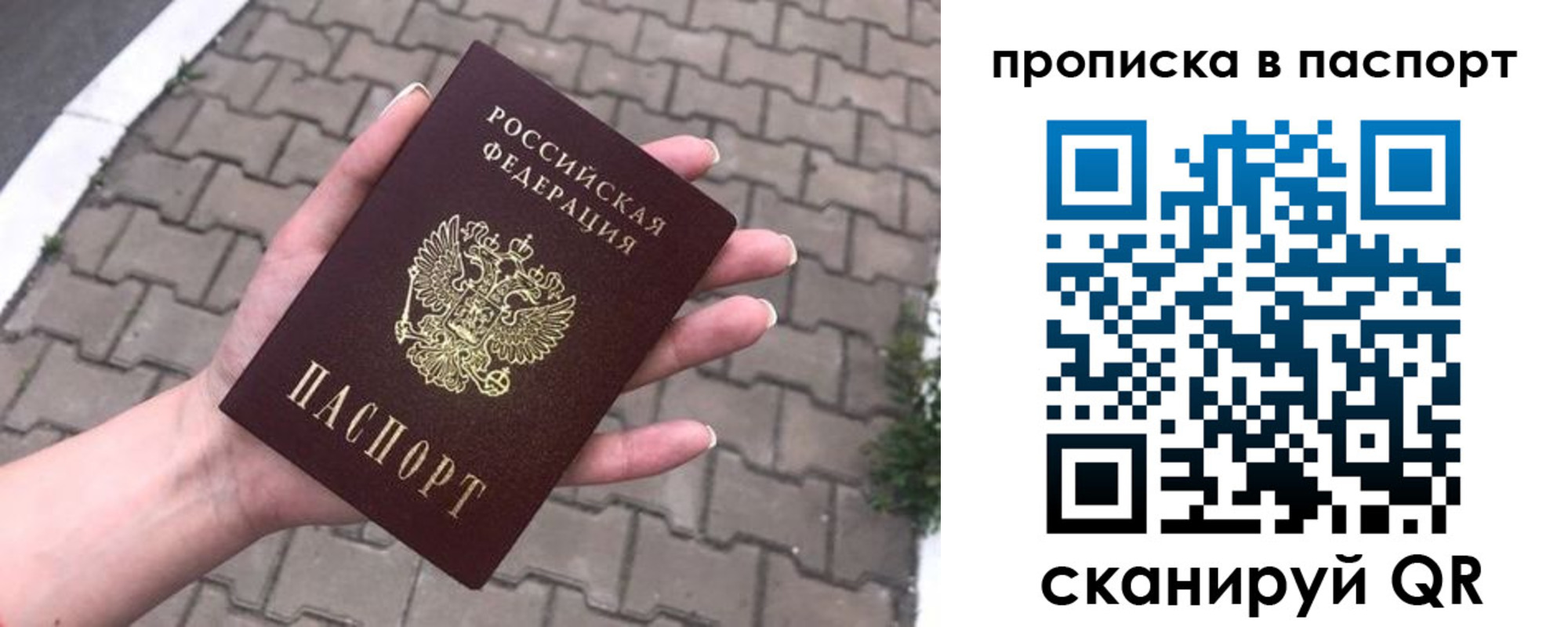 прописка поиск в Жуковке